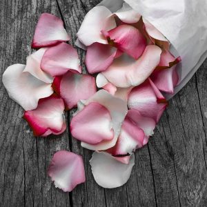 Delicate Rose Fragrance Oil
