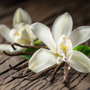 Vanilla Bouquet