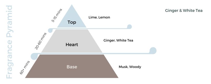Ginger & White Tea Candle Fragrance Oil