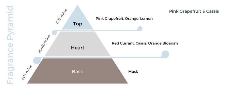 Pink Grapefruit & Cassis Candle Fragrance Oil